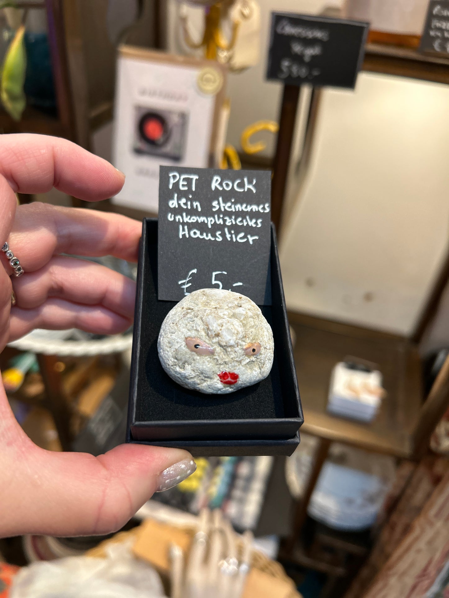 Pet Rock - dein steinernes Haustier