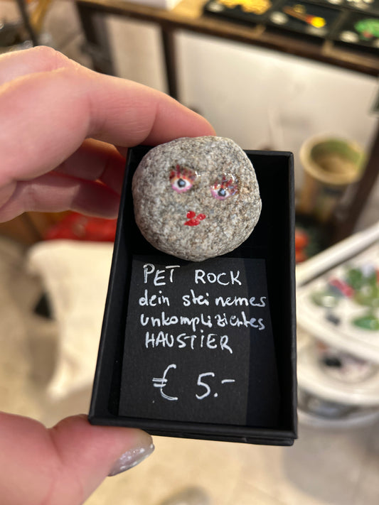 Pet Rock - dein steinernes Haustier