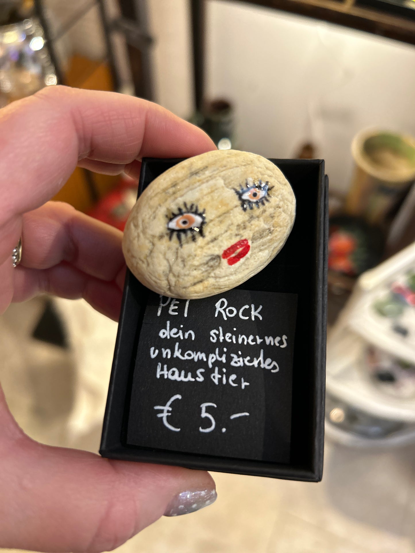 Pet Rock - dein steinernes Haustier