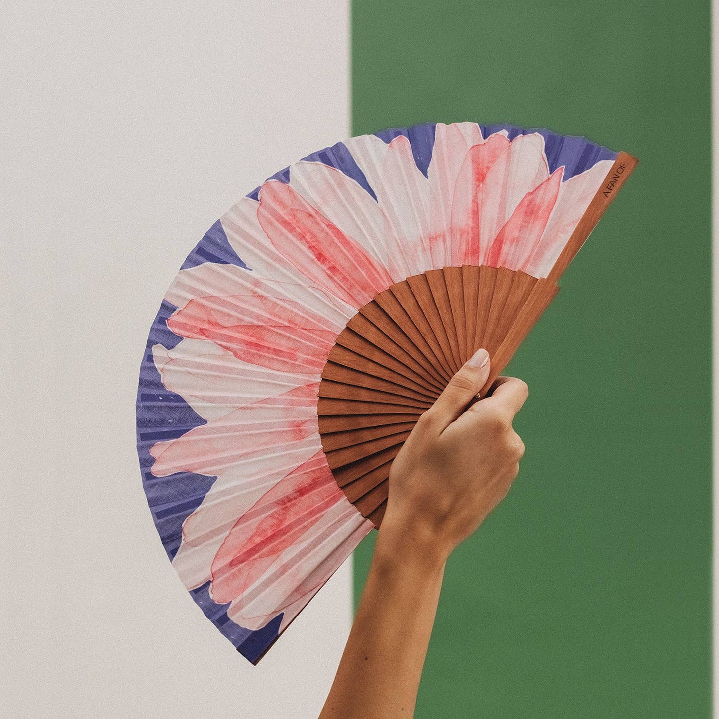 PINK POWER Fächer - 23 cm - Rosa und Blau
