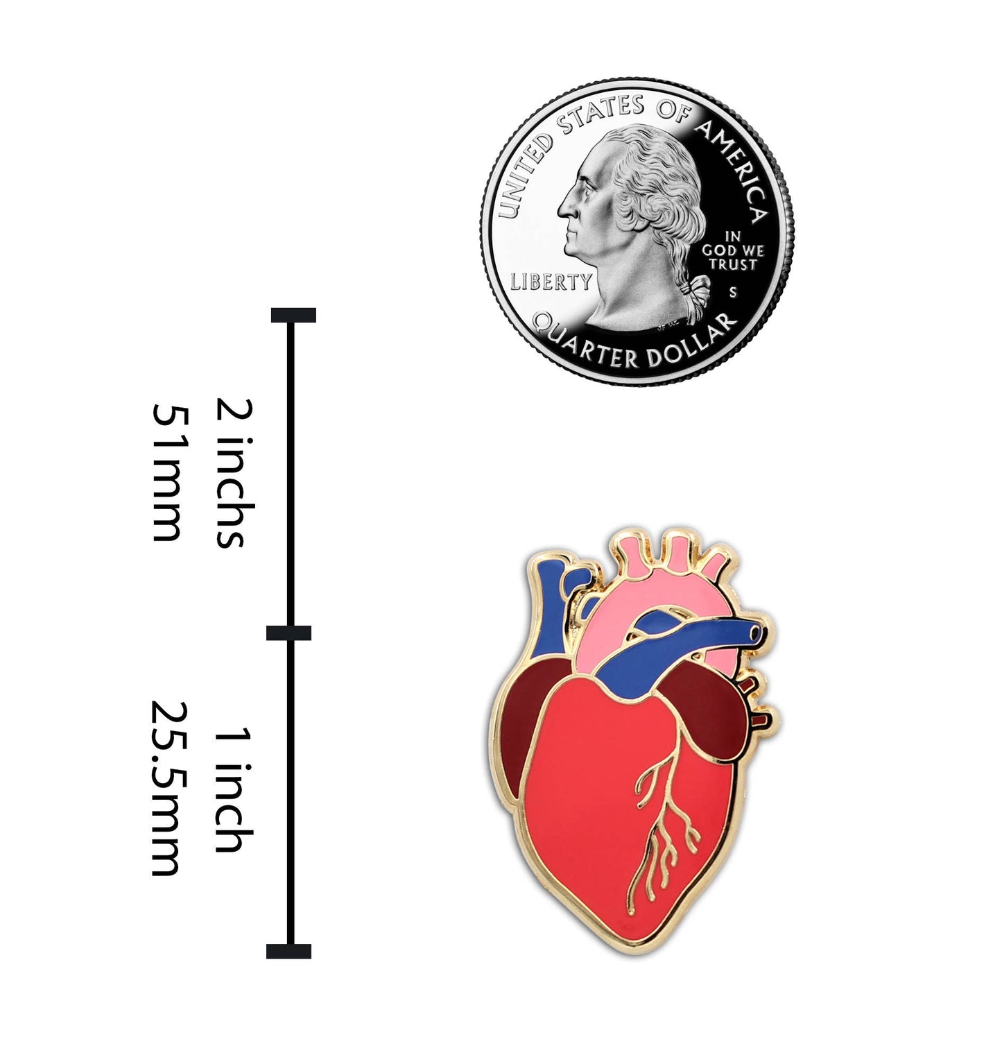 Anatomische Herz-Brosche mit realistischem Design - Emaille Pin